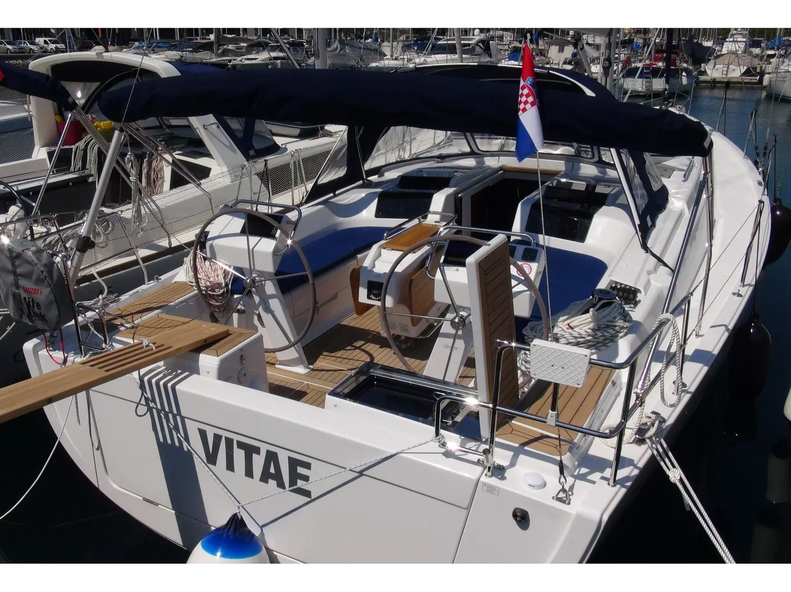 Vitae, Main image