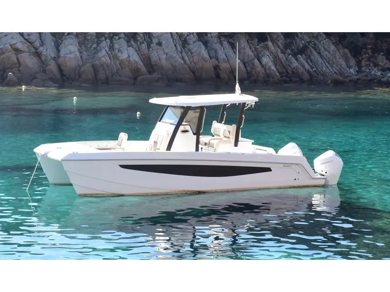 Eagle I, Aquila 28