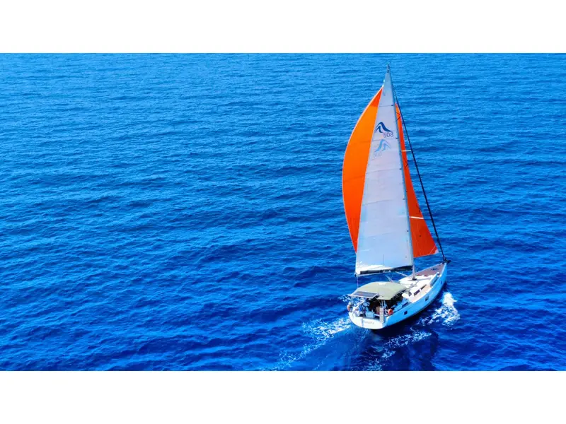 Planaria, Hanse 508