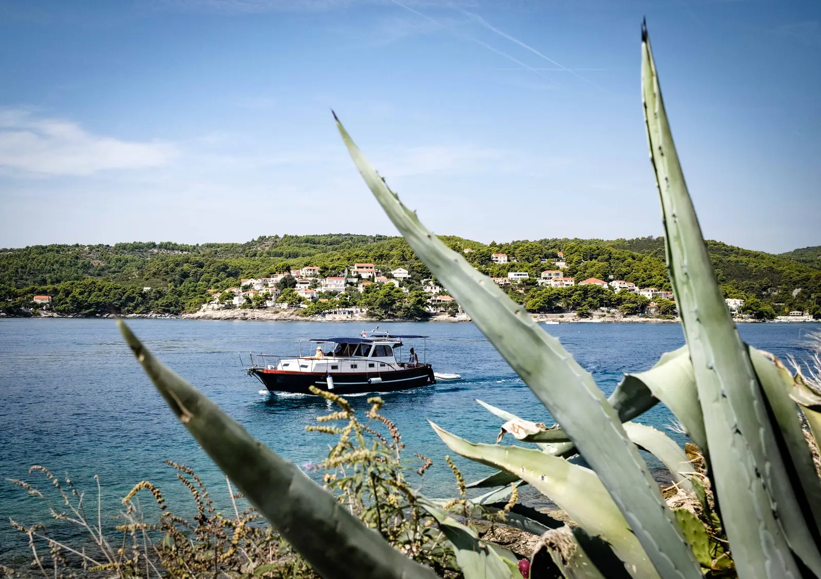 BILI, Foto 29