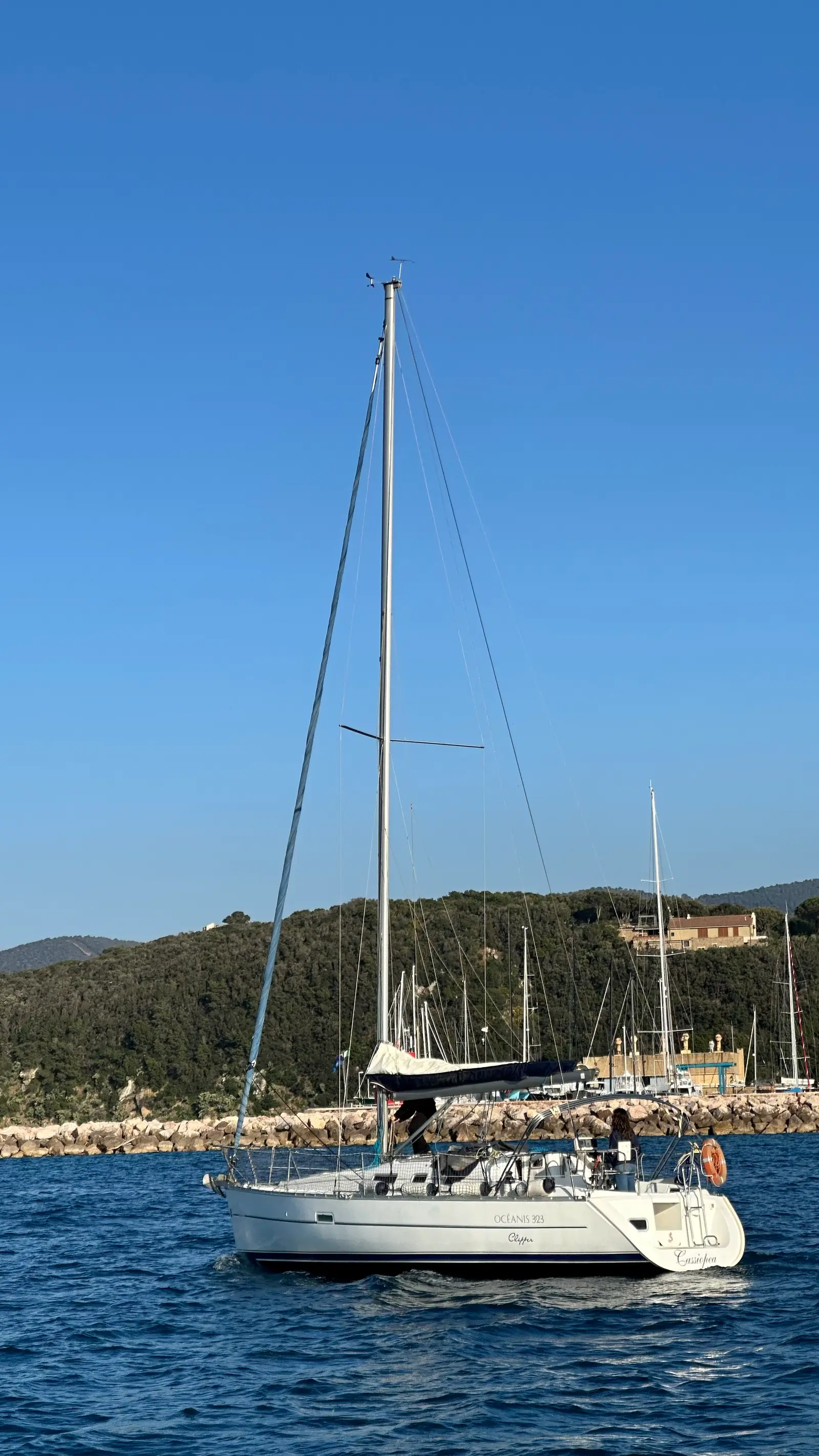 Cassiopea, Foto 6
