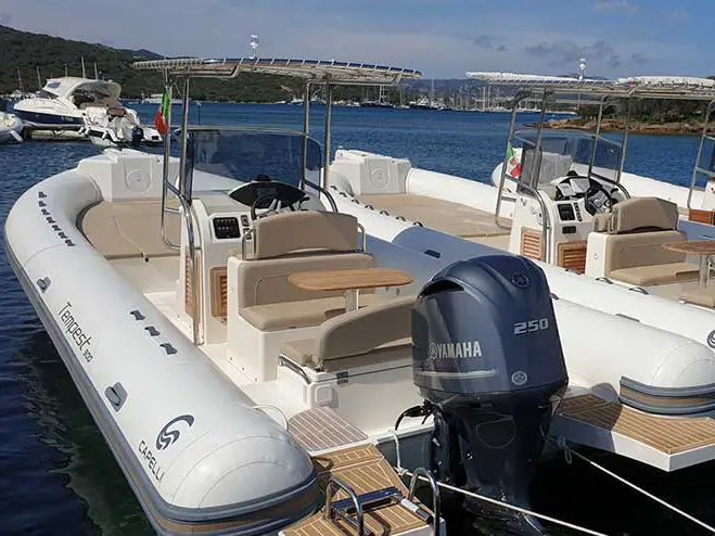 Maxi Rib, Main image