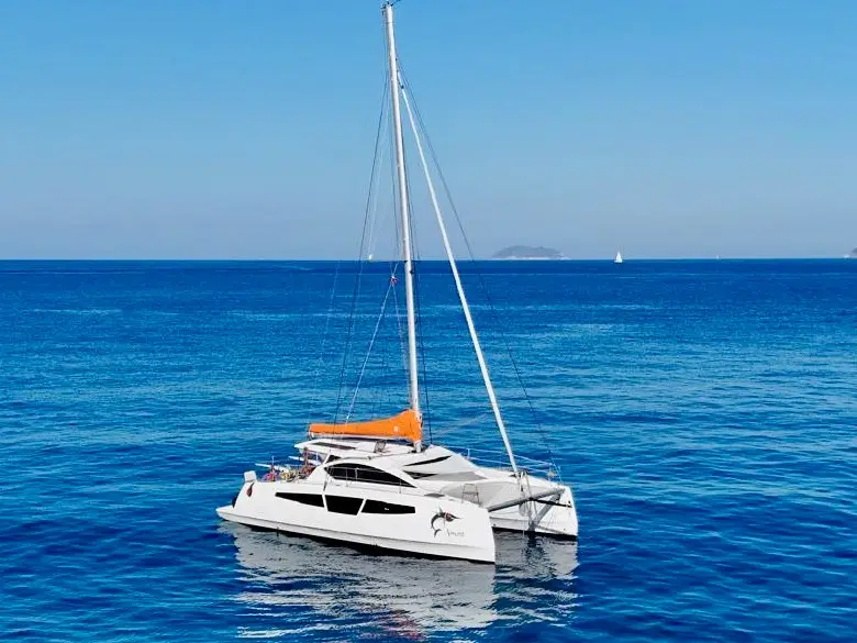 Amuni', C-CAT 37