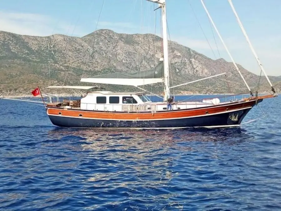 CARPEDIEM CORAL, Main image