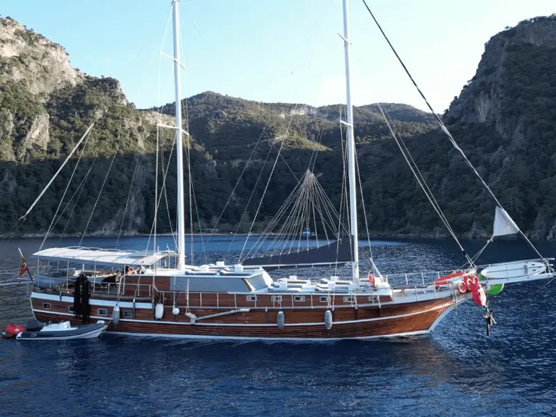Aria, Main image
