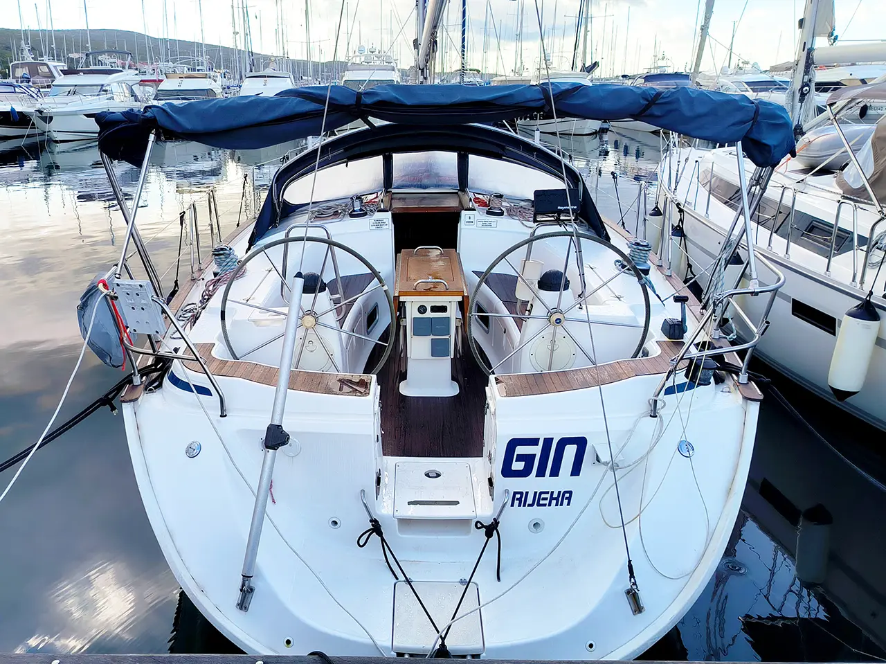 Gin, Main image