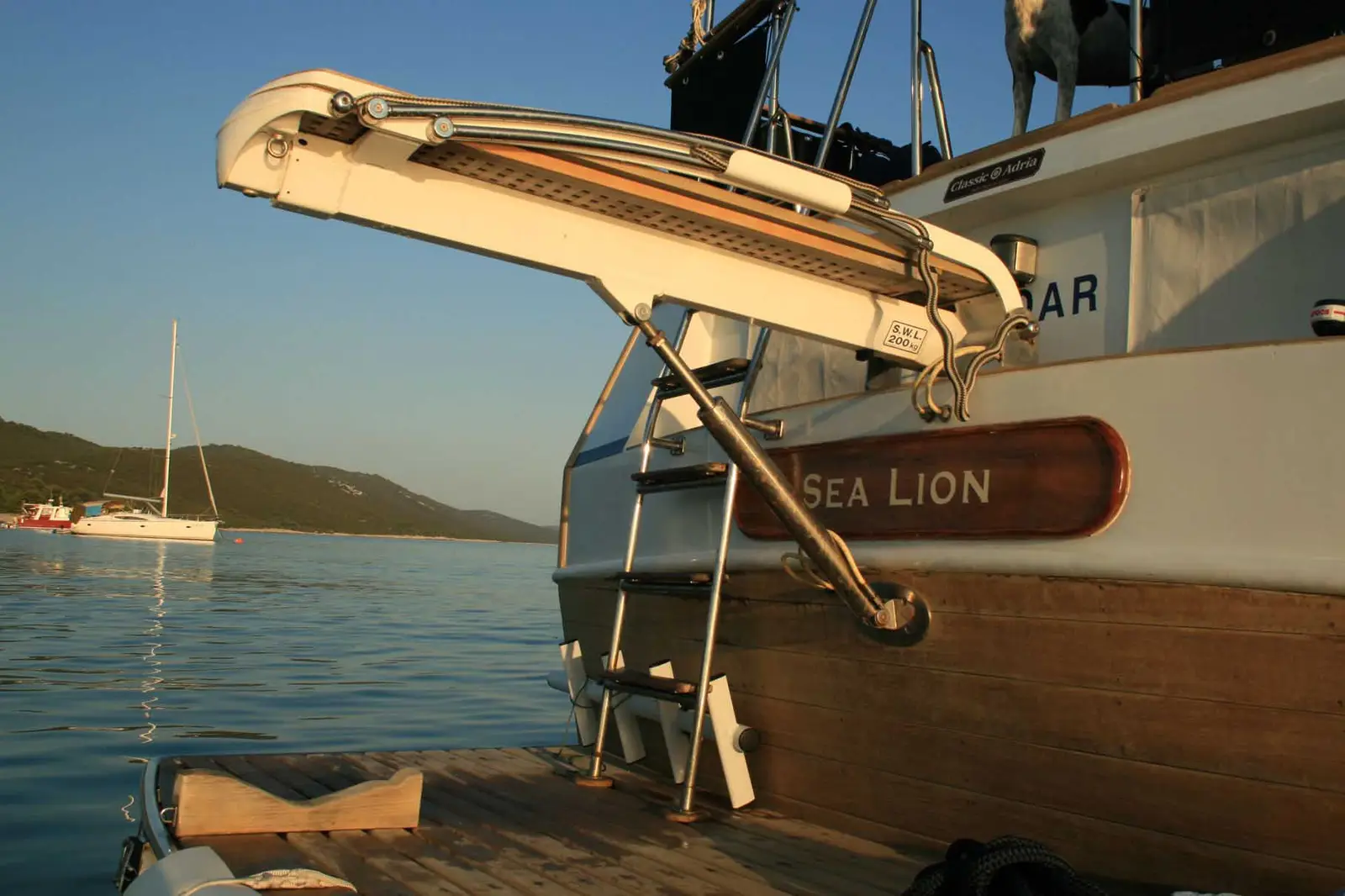 SEA LION, Foto 19