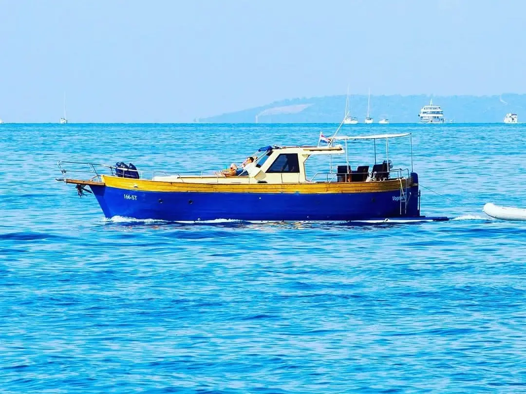 Vagabundo, Main image