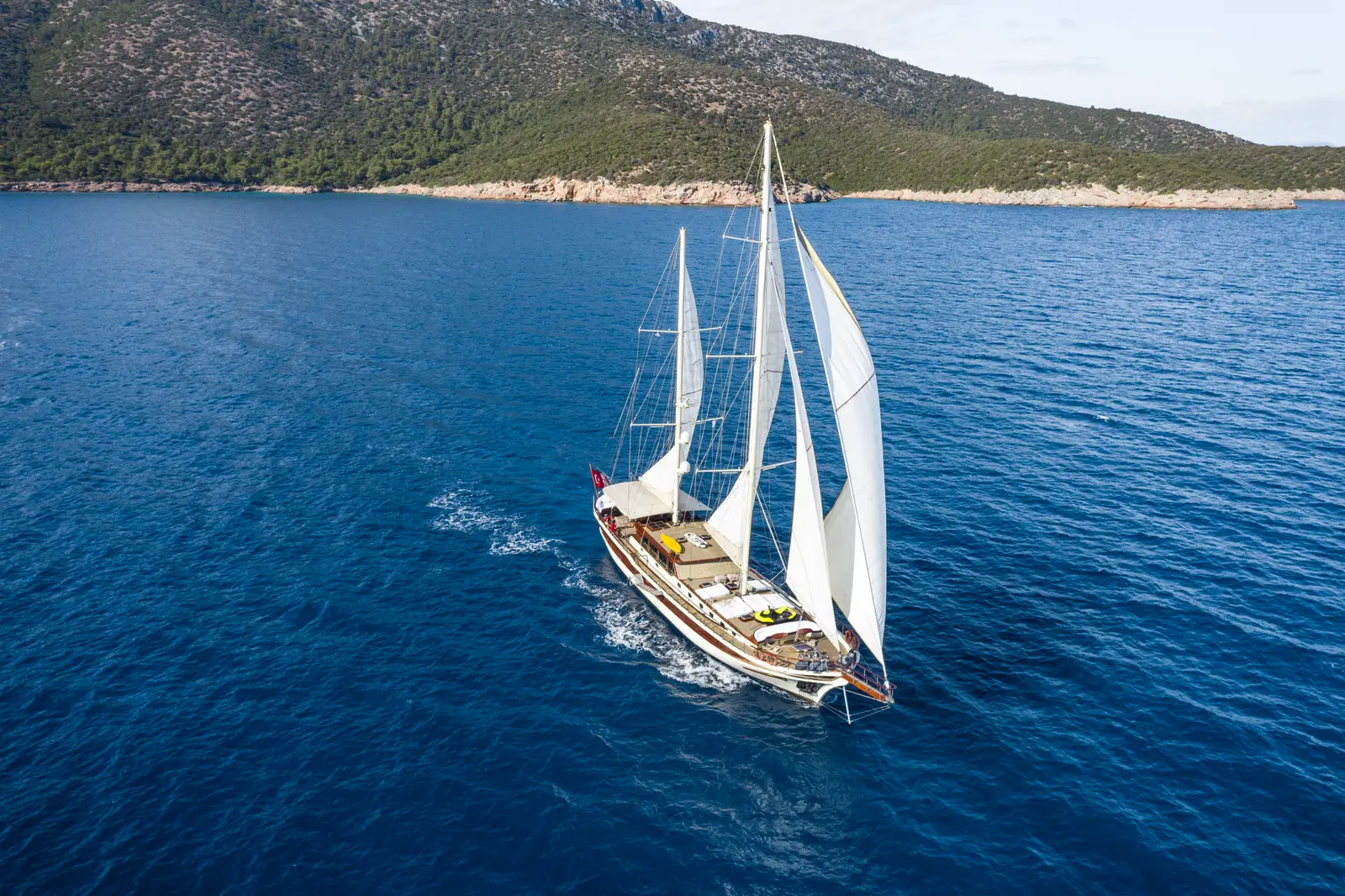 Estrella de Mar, Foto 18