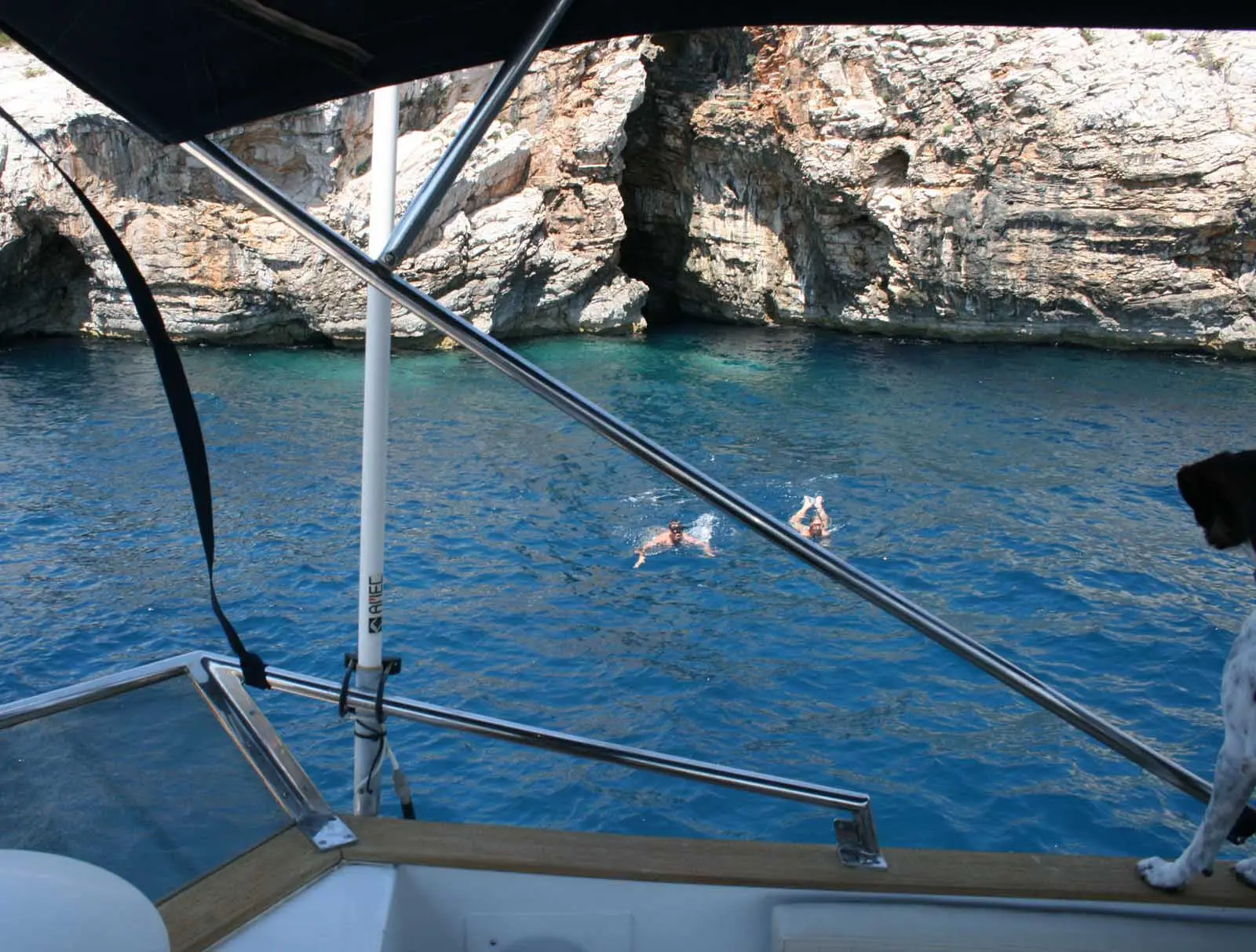 SEA LION, Foto 3
