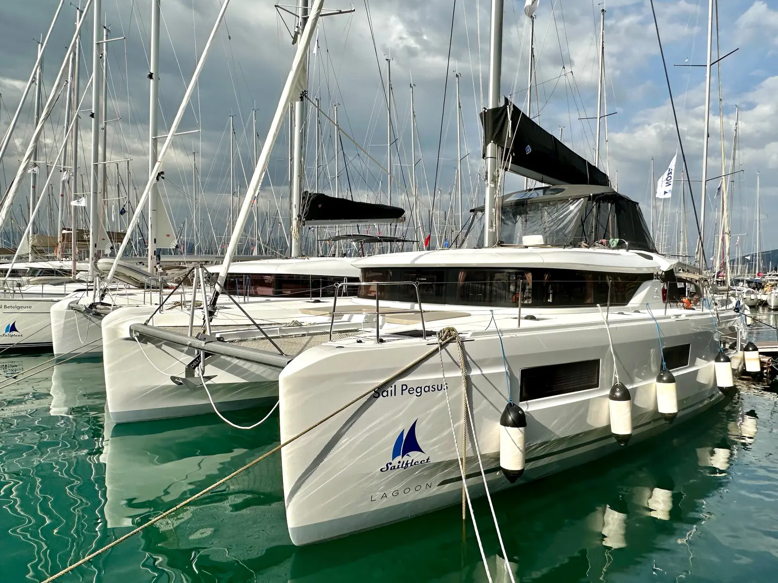 Sail Pegasus, Main image