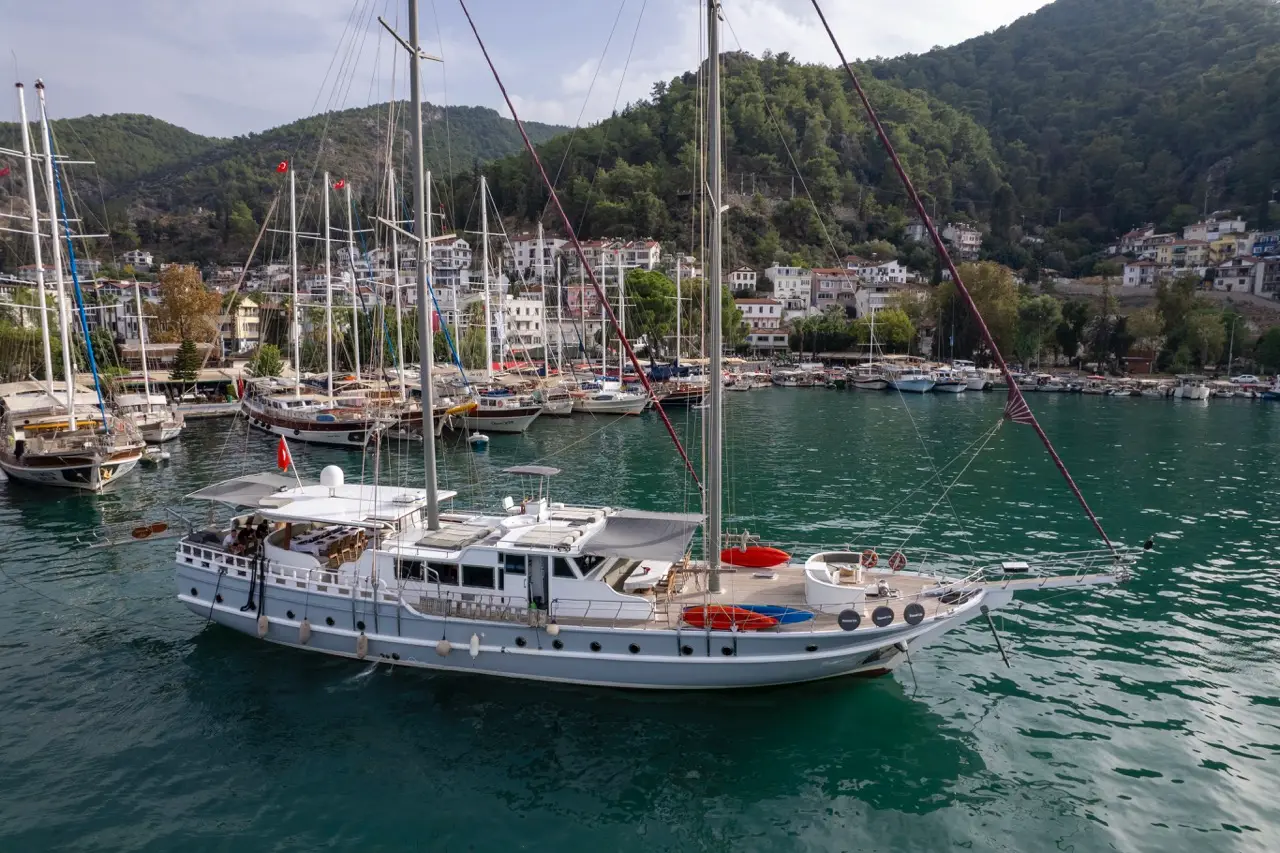 Diamond Lila, Main image