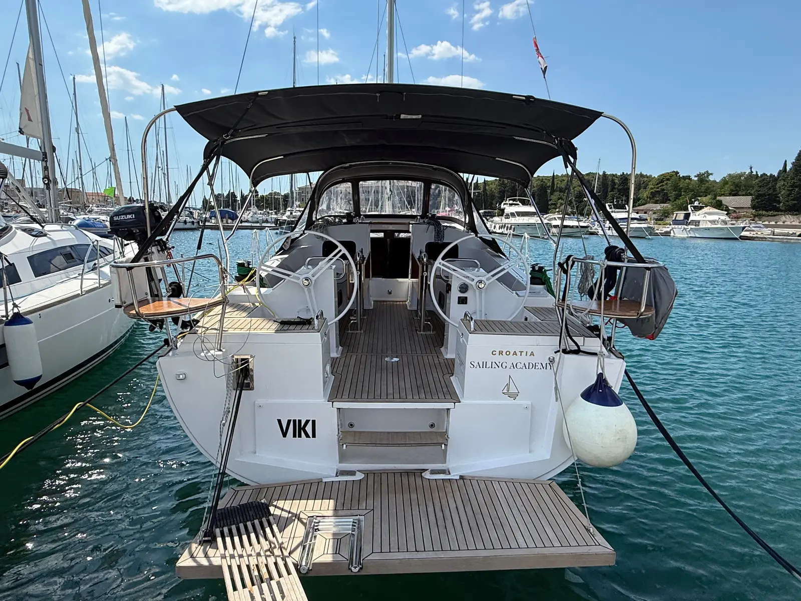 VIKI, Main image