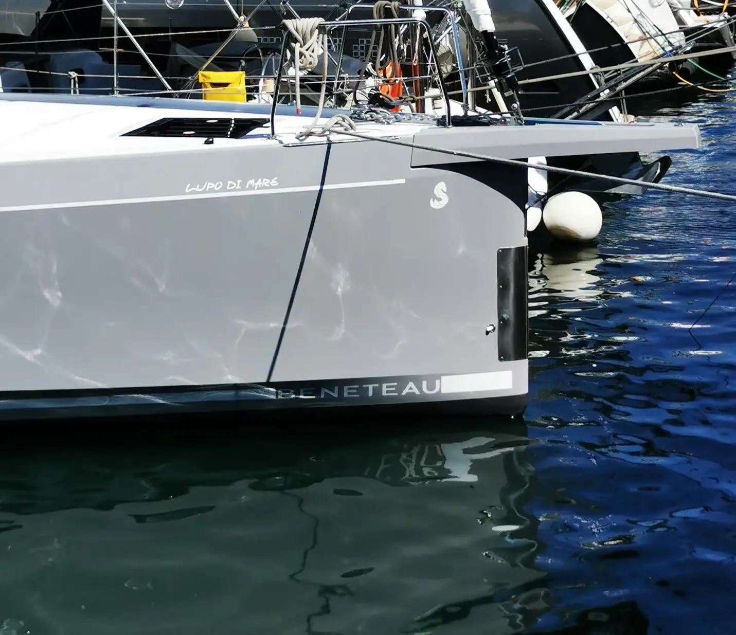 Lupo Di Mare, Foto 3