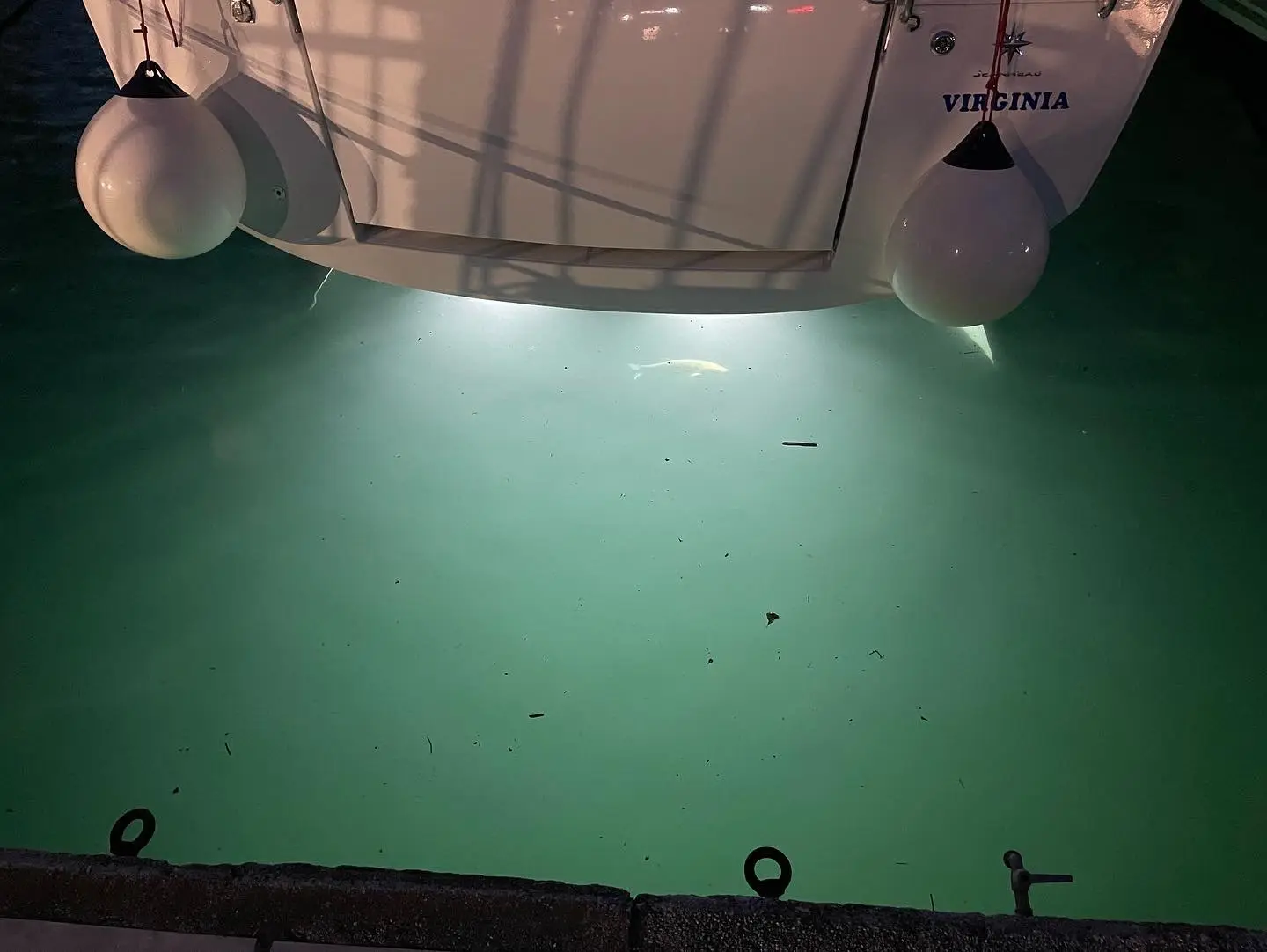 Virginia (A/C, Gen. 10kVA, Watermaker 160L/h, Electric Winch), photo 3