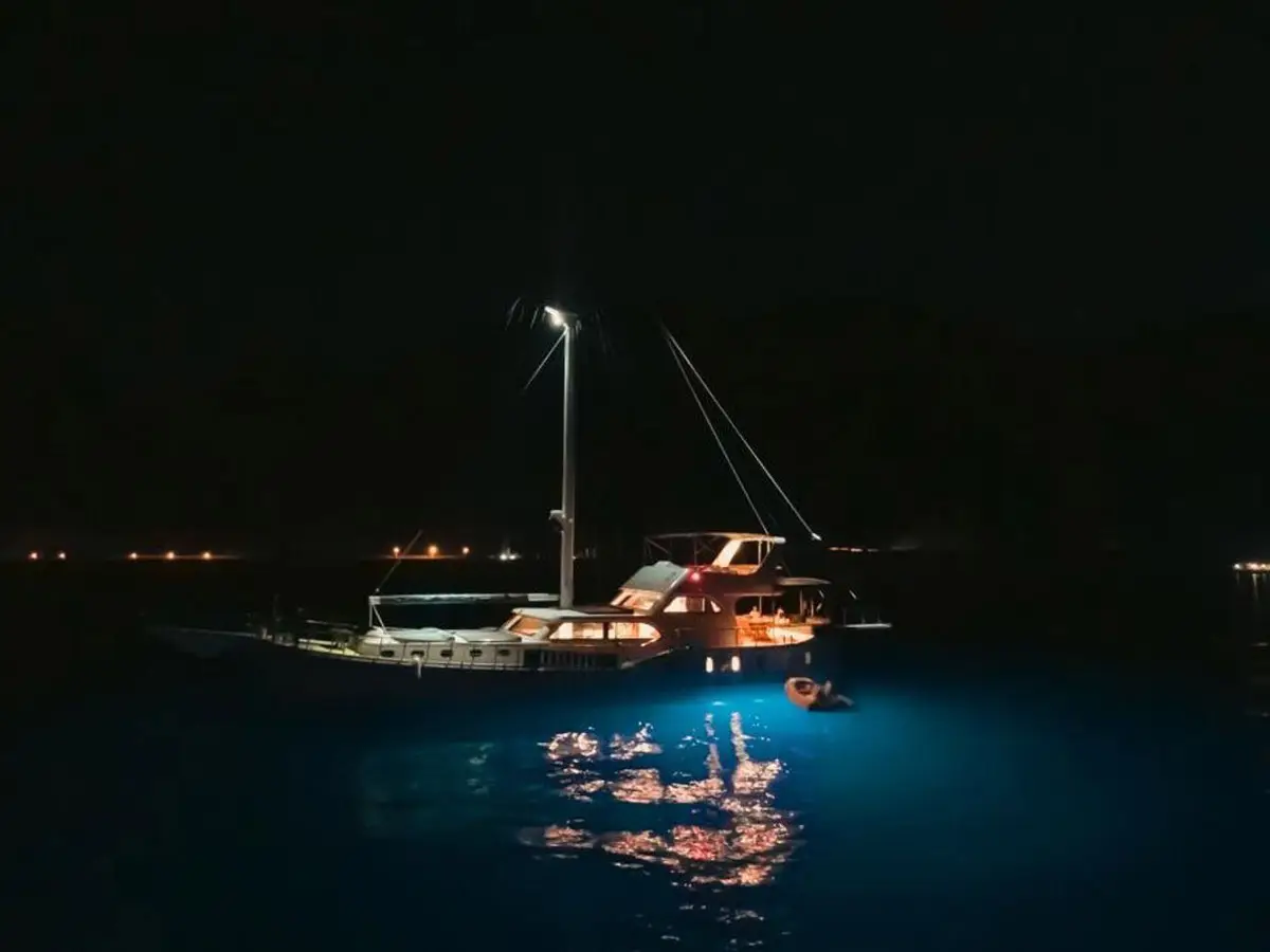 Ozde 1, Foto 6