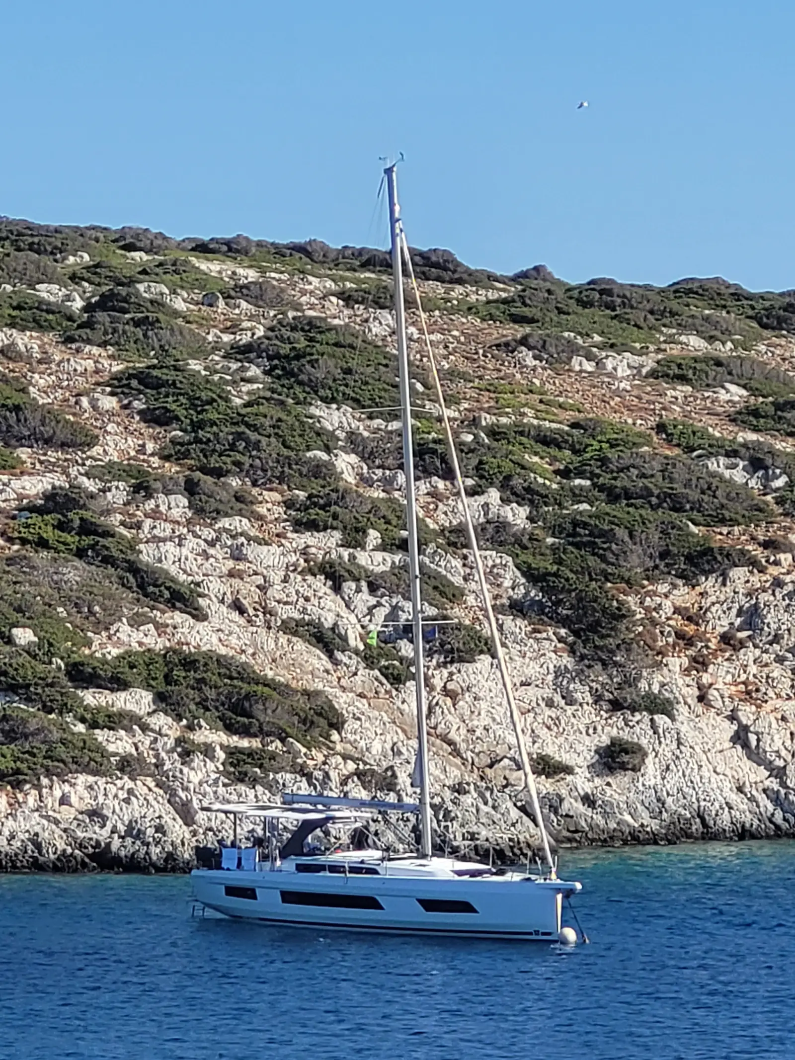 Faidra, Main image