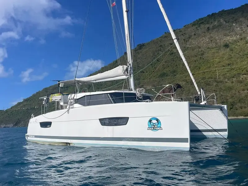 Aqua Panda, Main image