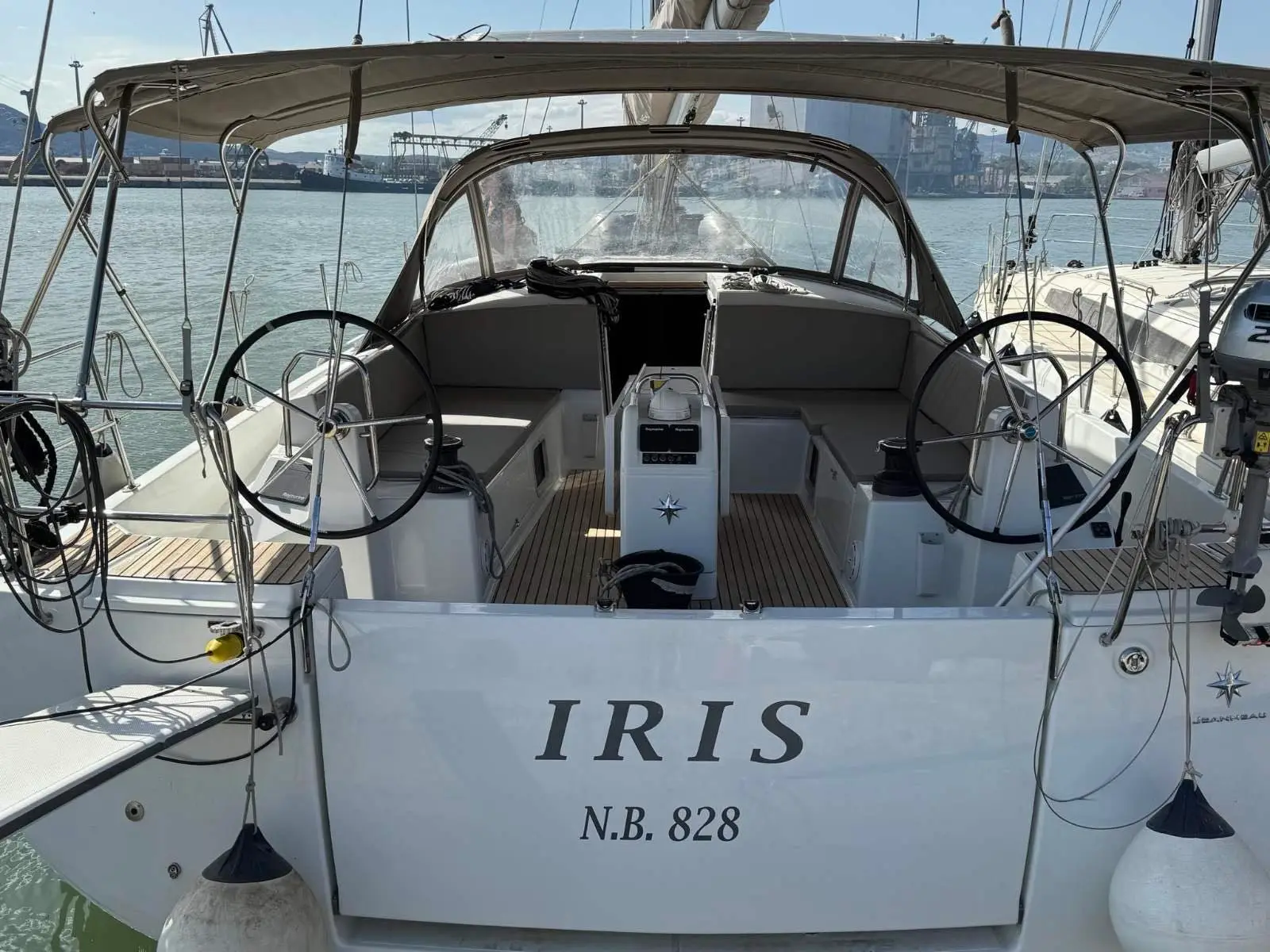 Iris, Main image