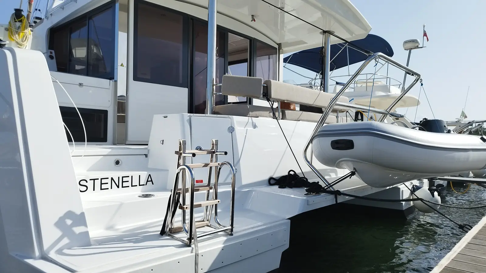 Stenella, Foto 37
