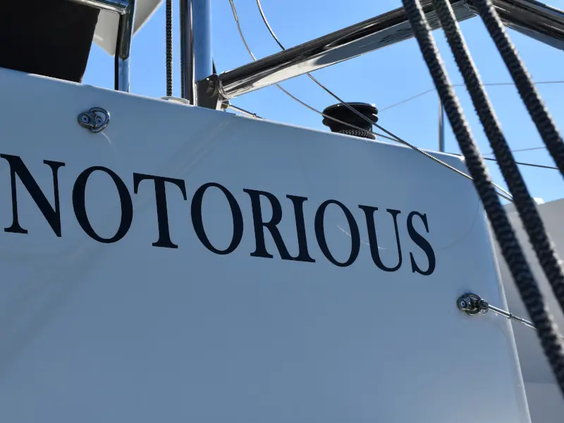 NOTORIOUS, Foto 9