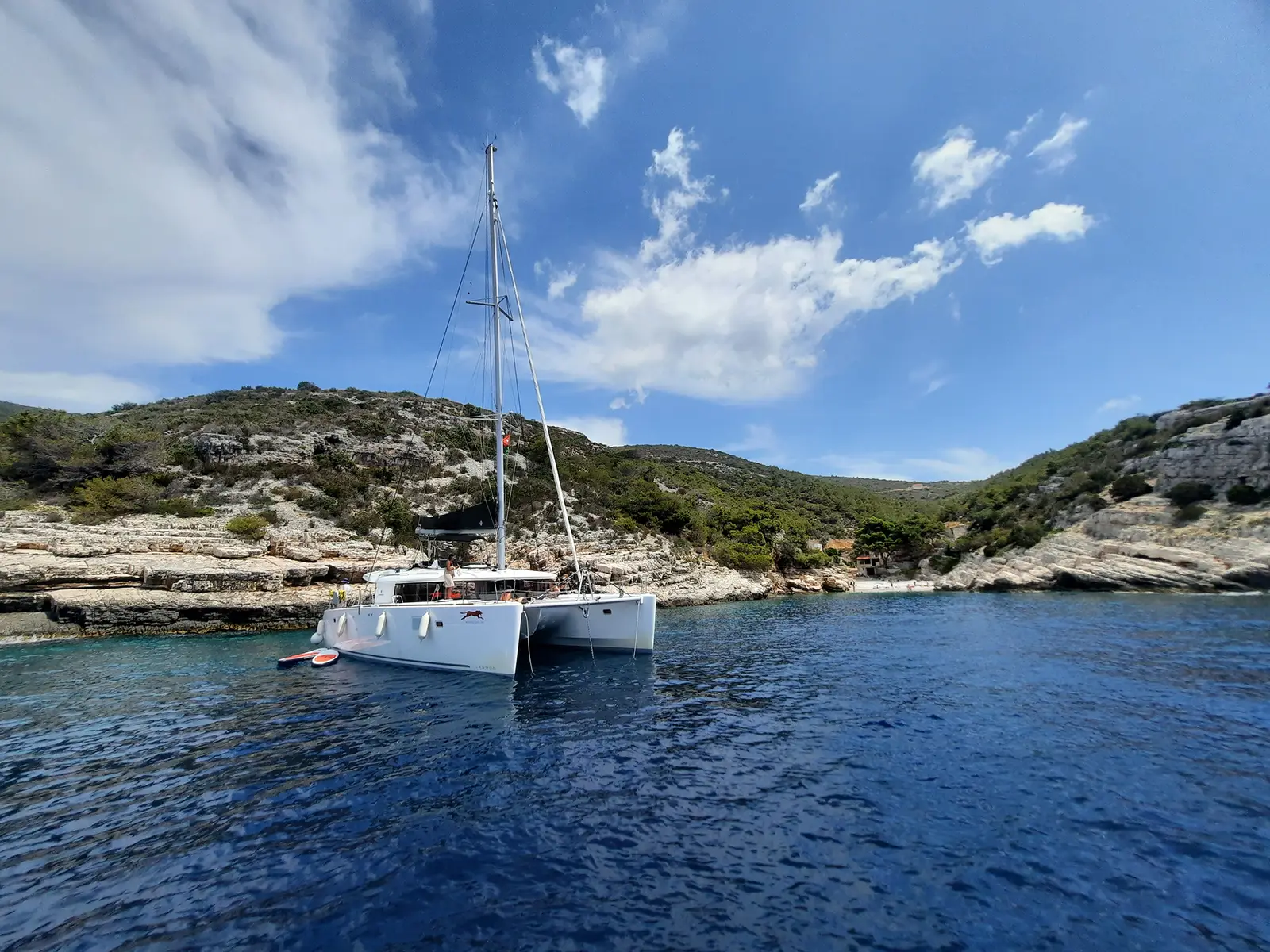 ADRIATIC CHEETAH, Foto 11