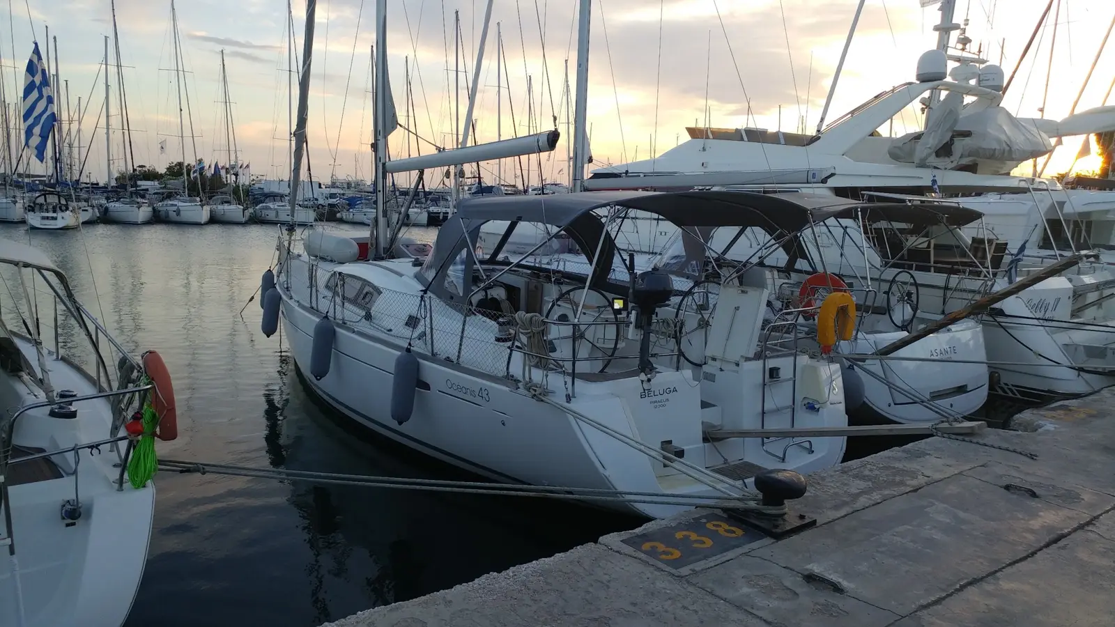Beluga, Foto 7