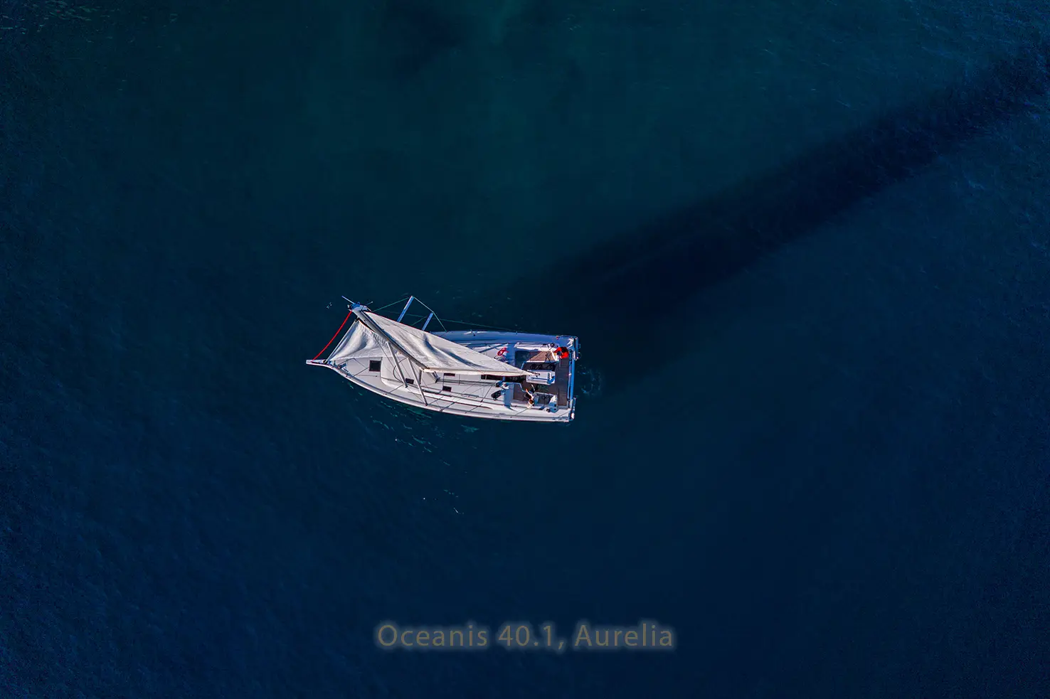 Aurelia, Foto 12