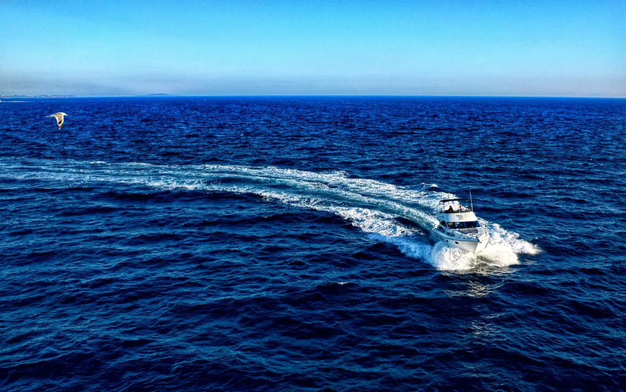 Carina, Foto 27