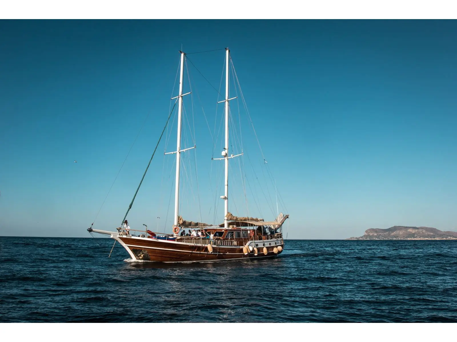 Donna Marisa, Main image
