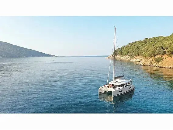 Anasa, Main image