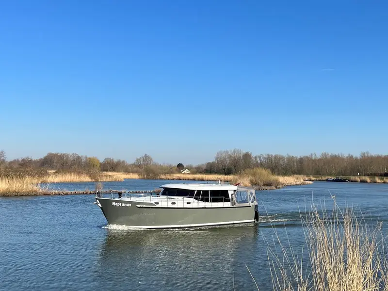 Neptunus, Brandsma Luna 40