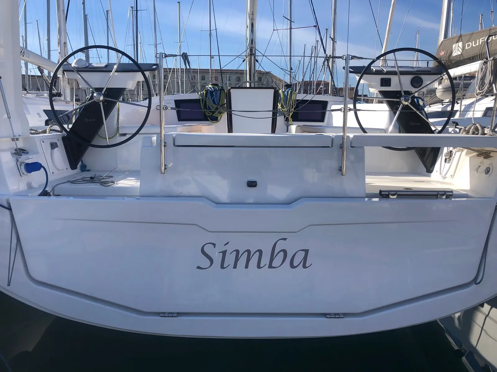 Simba, Main image