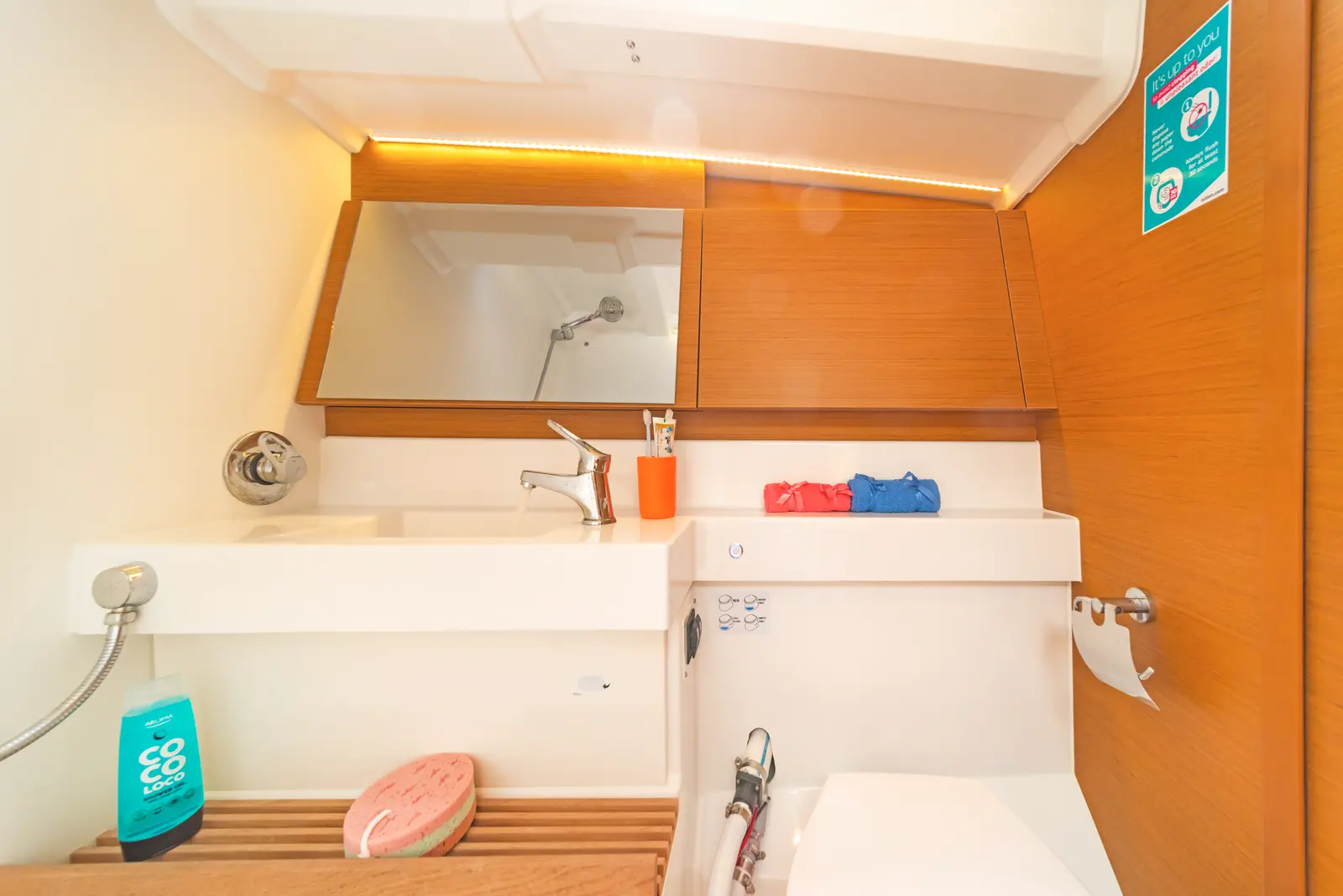Goldfish, Foto 19