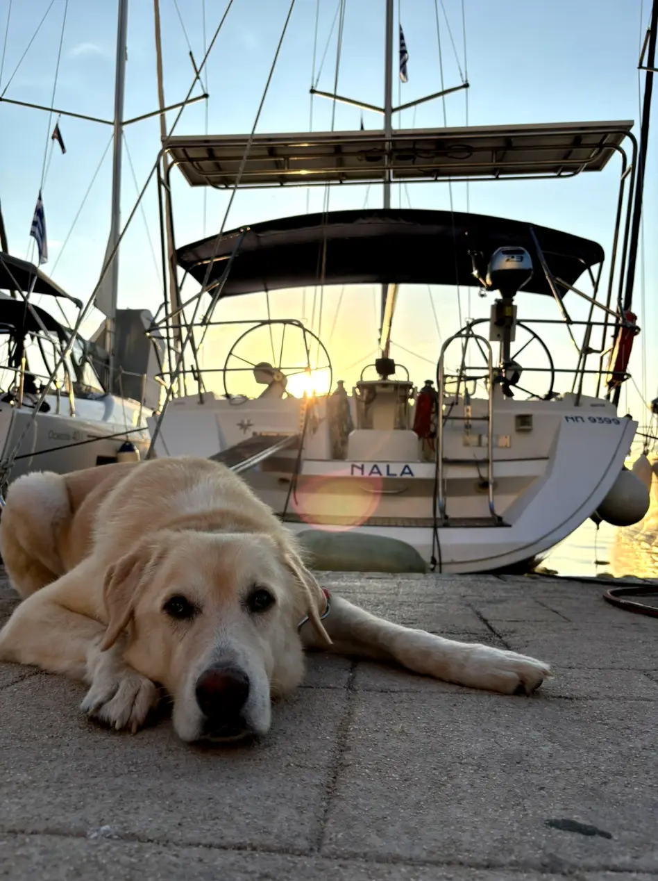 Nala, Foto 2