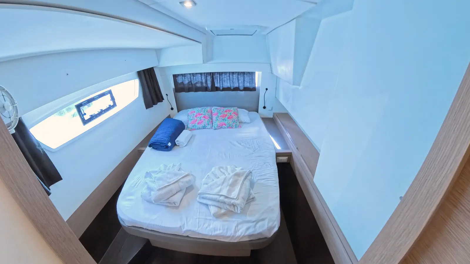 Parrot Ice, Foto 20