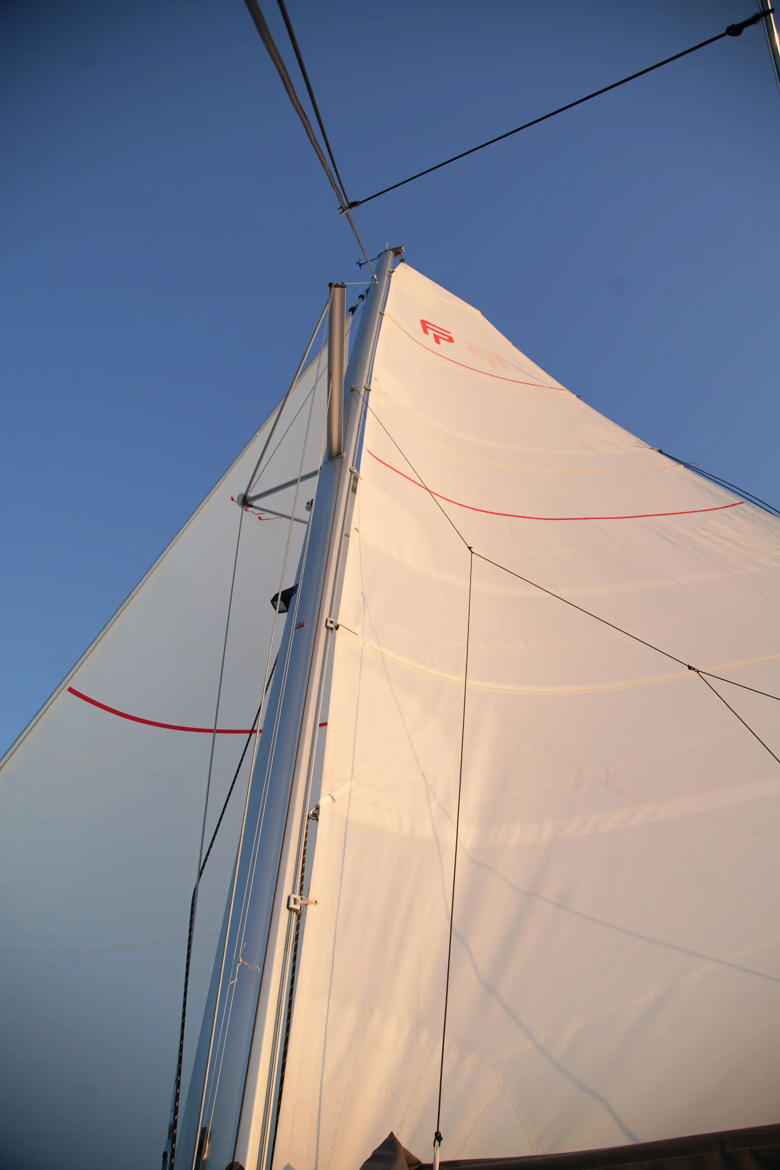 Anasa, Foto 34