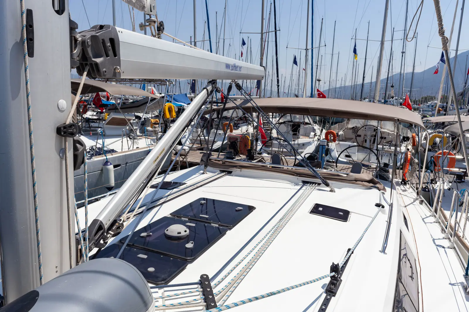 Sail Vega, Foto 6