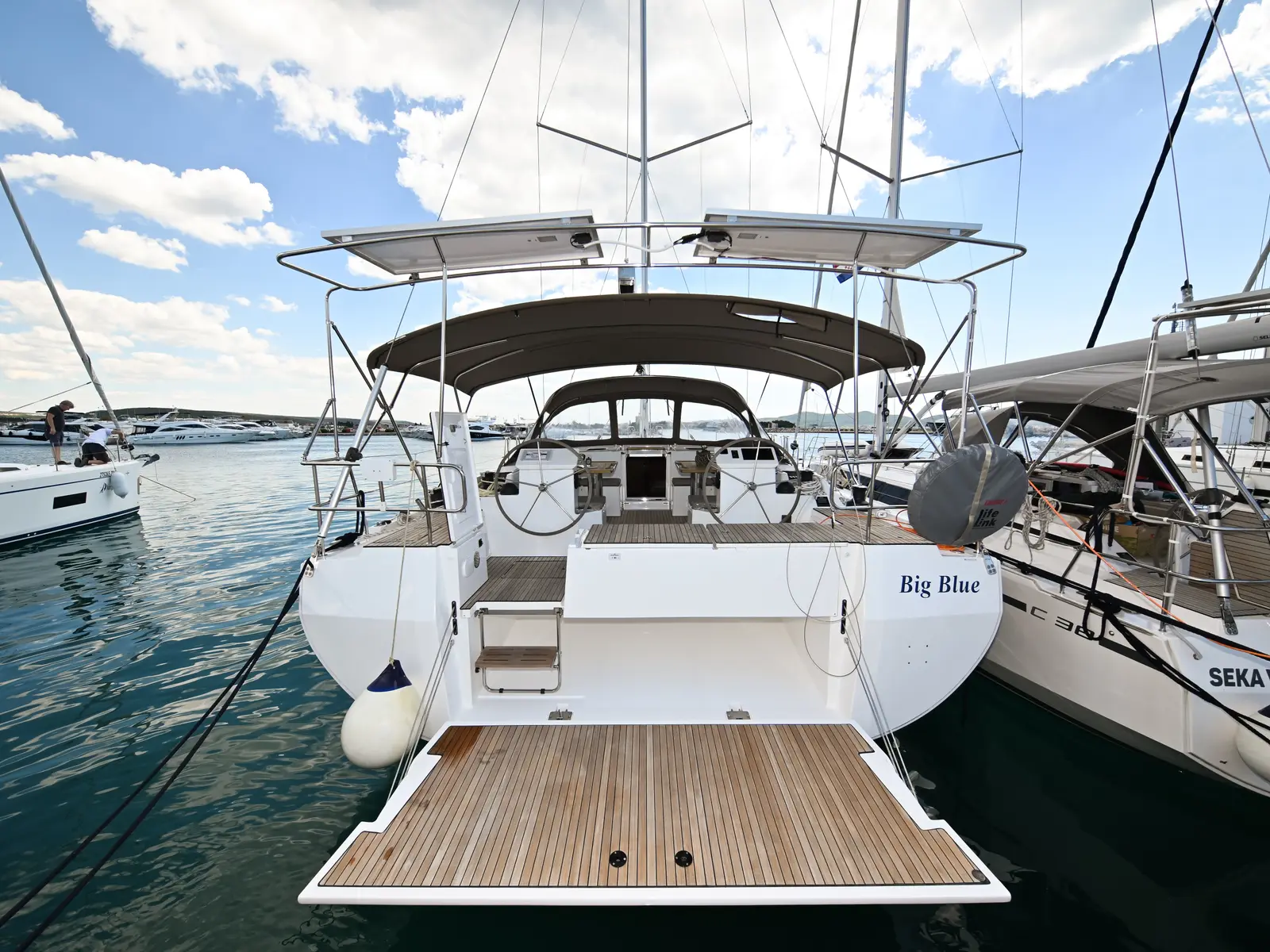 Big blue, Main image