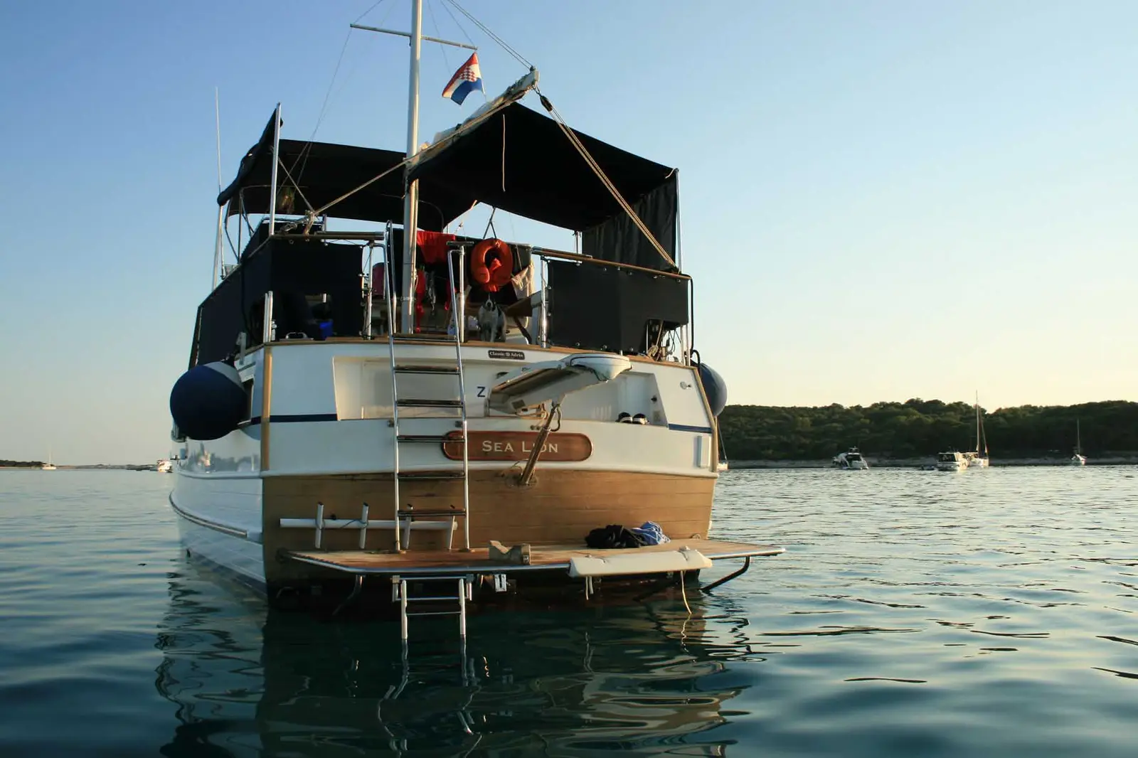 SEA LION, Foto 29