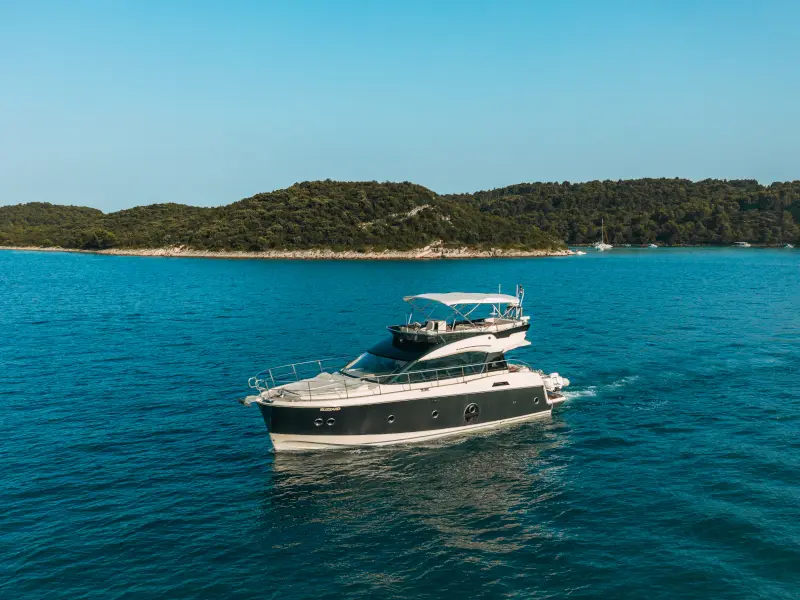 Blizzard, Monte Carlo 5