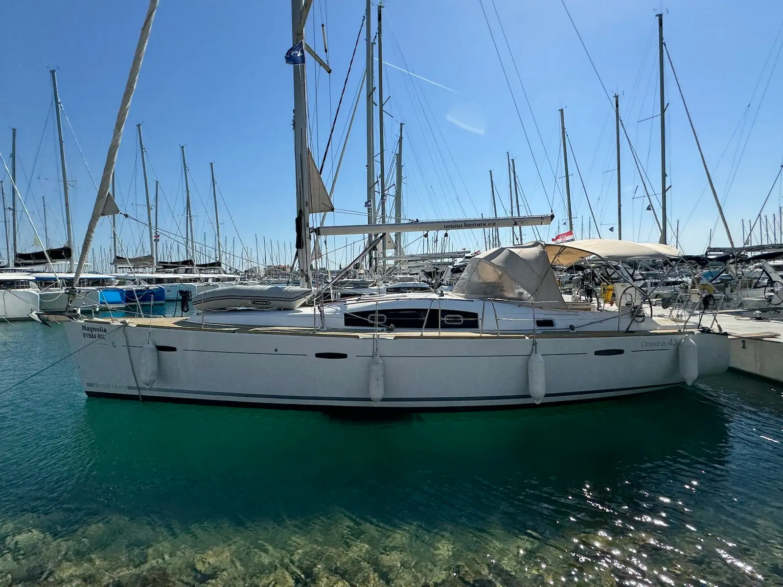 Magnolia, Foto 7